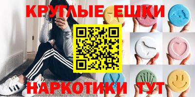 индика Кандалакша