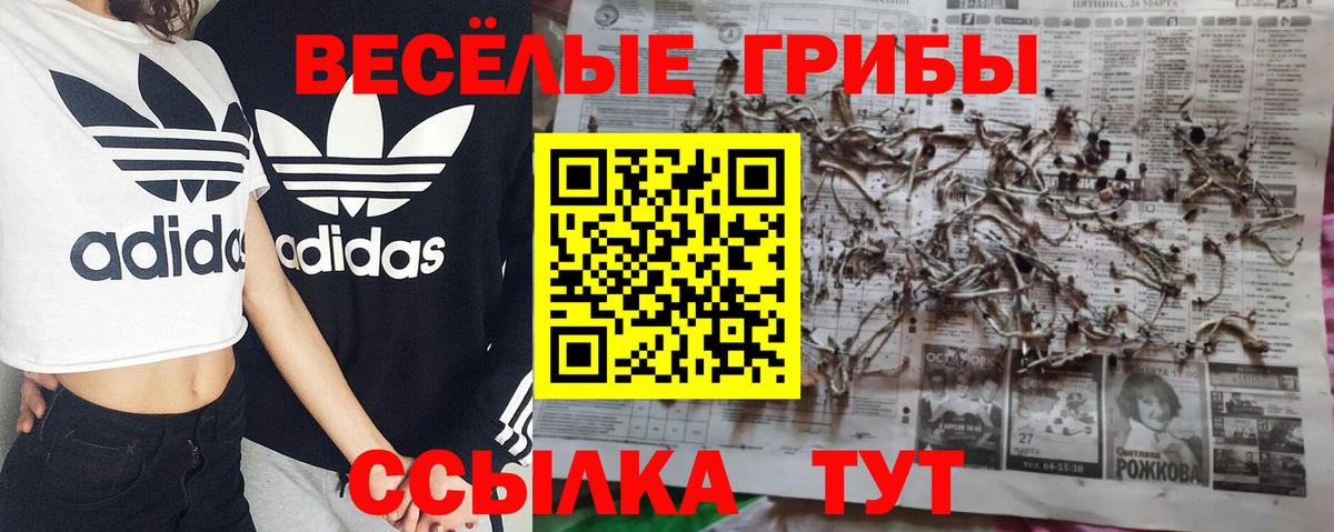 Джанкой  Псилоцибиновые грибы MAGIC MUSHROOMS  Вход с VPN 